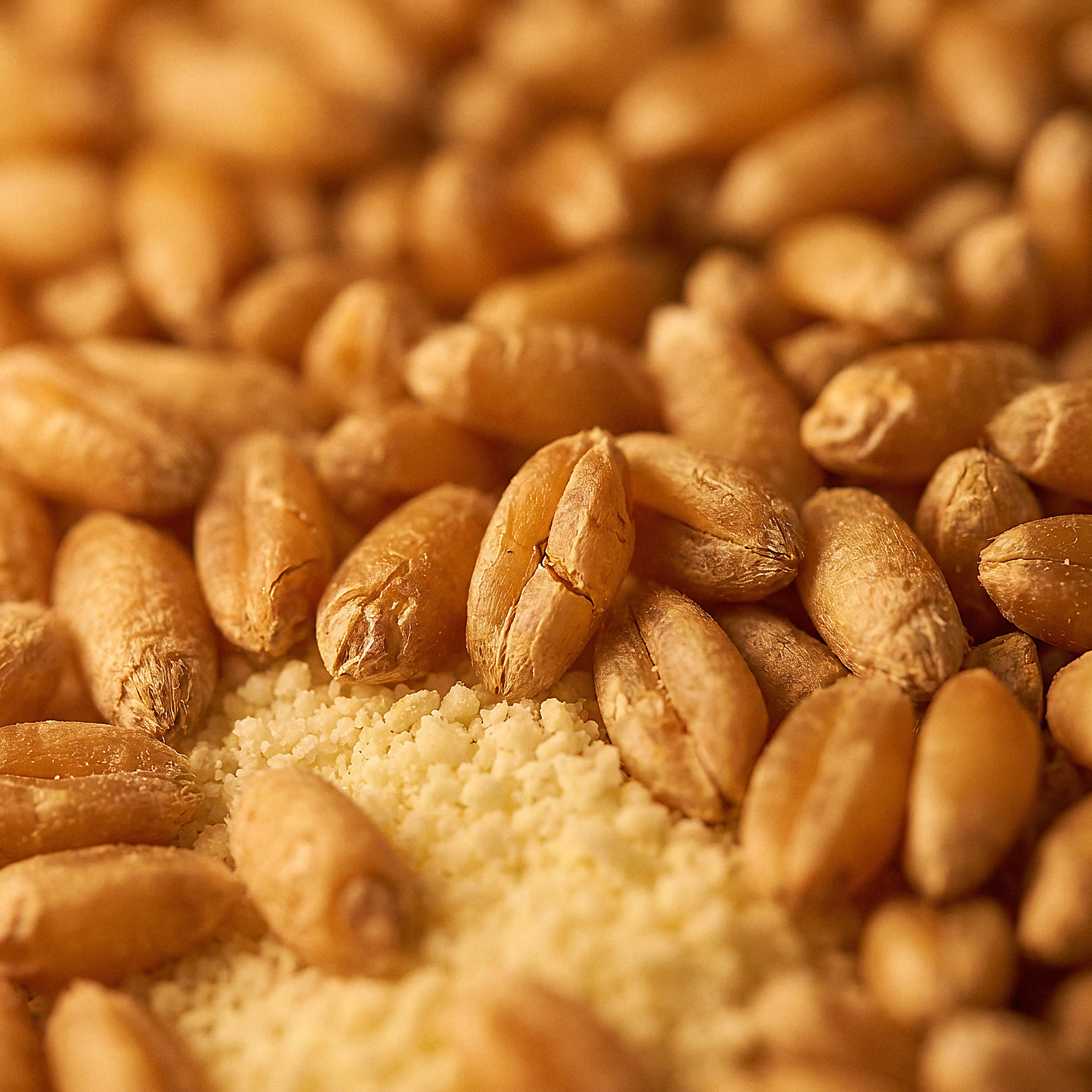 Golden grains and dairy powder macro